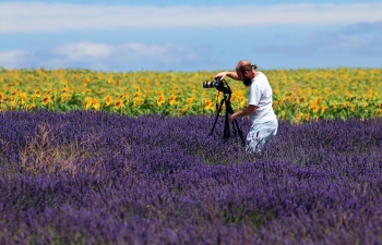 Provence, pluji na vlnách levandule